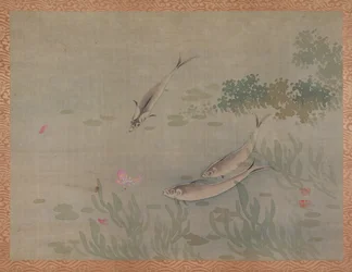 Pesce, 1851